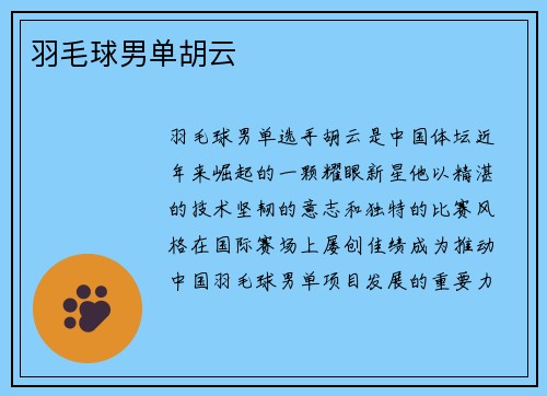 羽毛球男单胡云